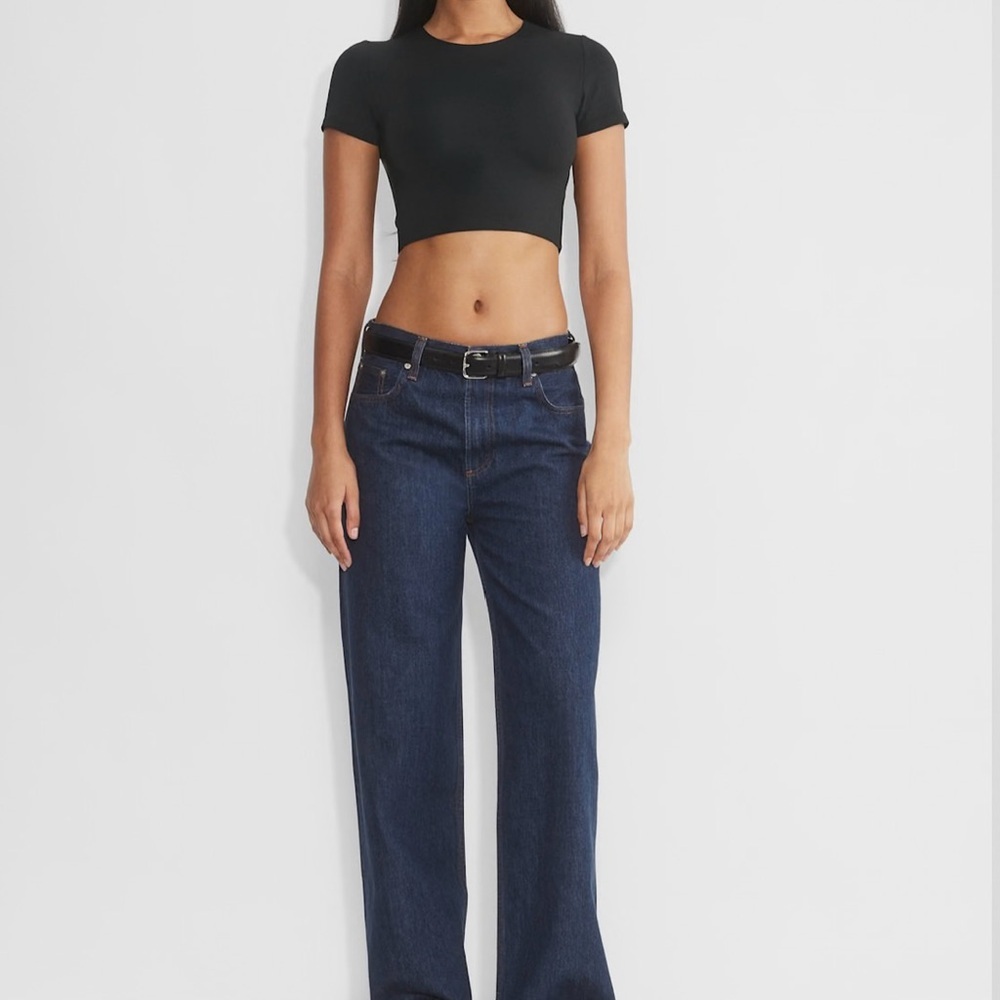Aritzia Babaton Charcoal Contour Crew Cropped T-Shirt